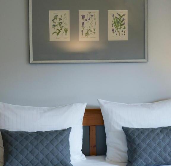 舒适型房间, Schloss Hotel Dresden Pillnitz