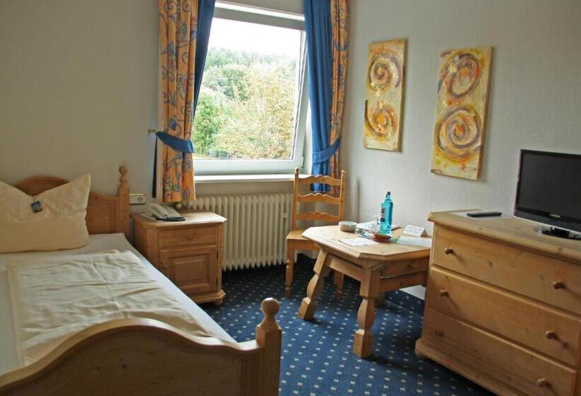 스탠다드 싱글 룸, Wildpark