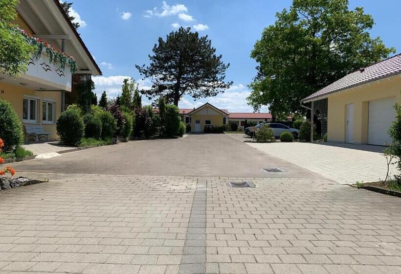 חדר סטנדרט, Zum Fliegerwirt