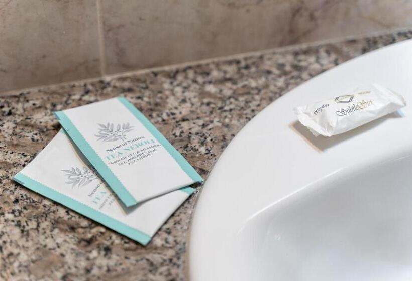 اتاق اکونومی یک تخته, Atol Spa