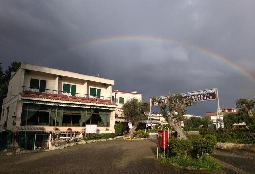 Номер Стандарт, Autostello