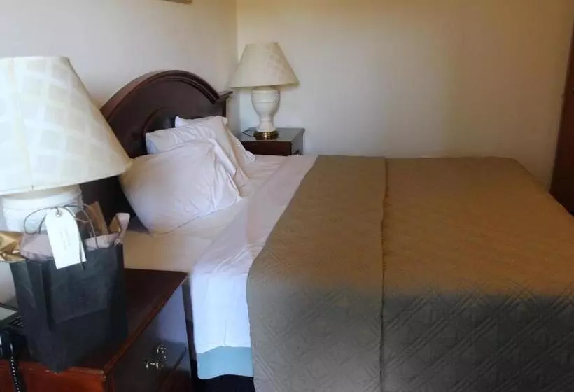キングサイズベッドのスタンダードルーム, Berkshire Travel Lodge