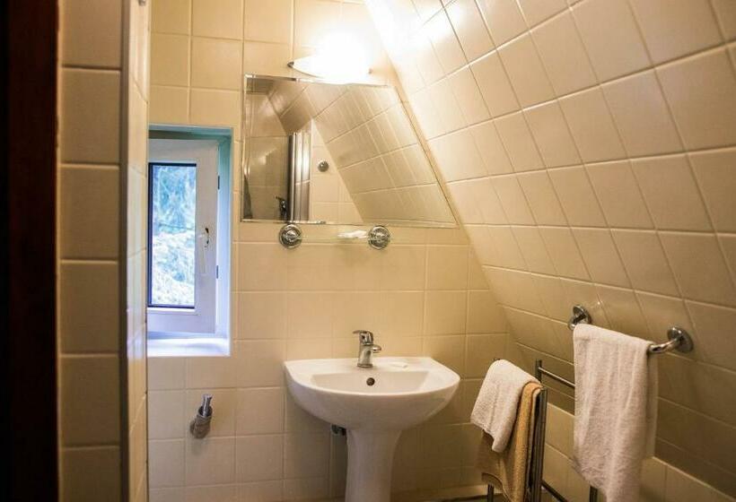 اتاق استاندارد یک نفره, Daria Dworek Myśliwski