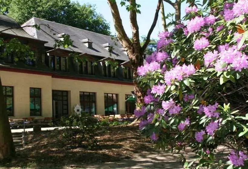 コンフォートシングルルーム, Haus Hohenstein