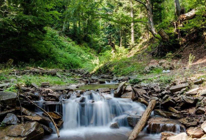 Номер Стандарт Индивидуальный, Klimek Spa