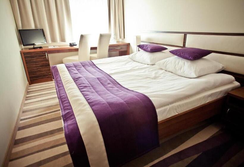 اتاق استاندارد با تخت بزرگ, Mazovia Airport Modlin