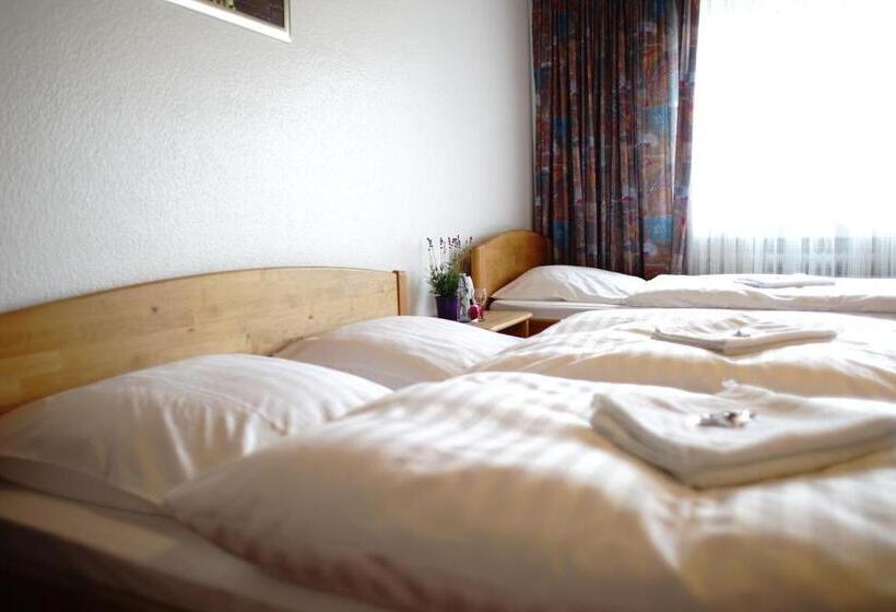 اتاق استاندارد سه نفره, St. Jobser Hof