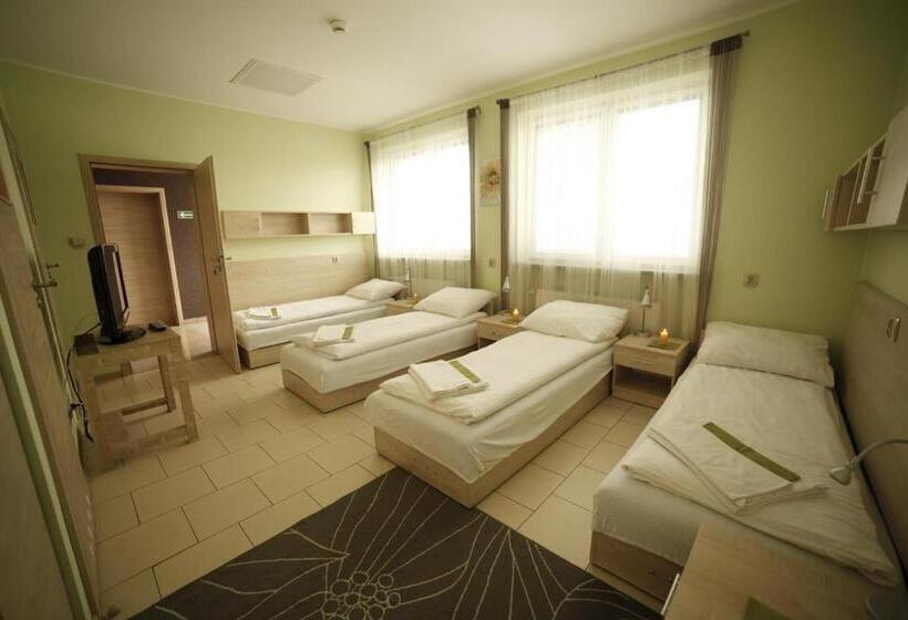 חדר פרמיום לארבעה, Standard Delegacyjny Bed & Breakfast