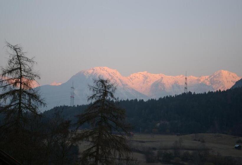 Номер Стандарт, Thalerhof
