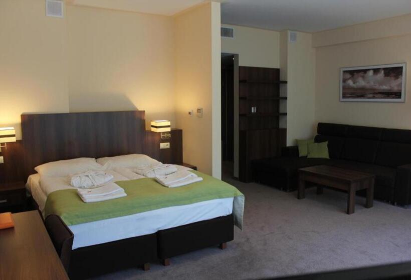 带1个卧室的带阳台的公寓, Verano