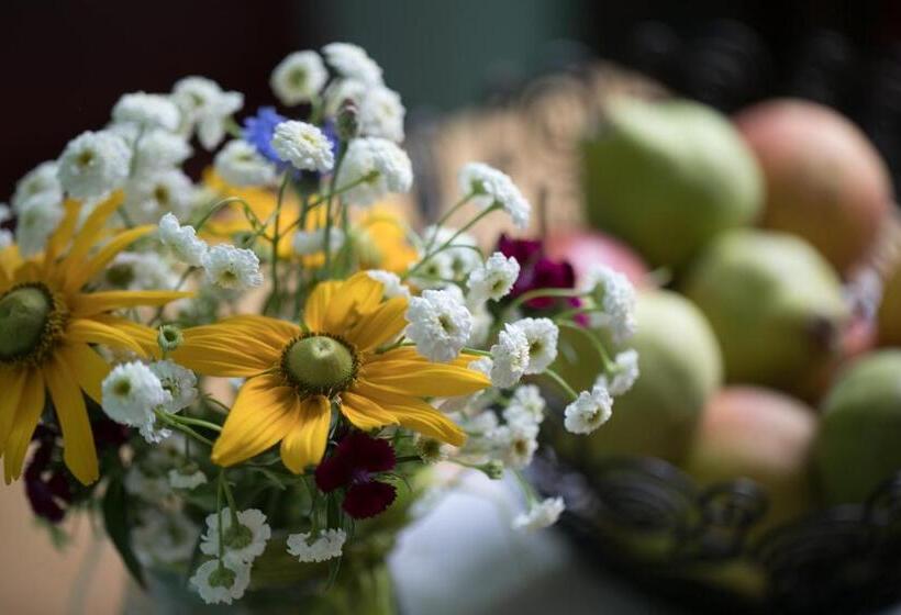 标准单人间, Garni Gasthof Pillgrab