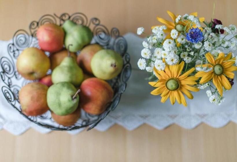 标准单人间, Garni Gasthof Pillgrab