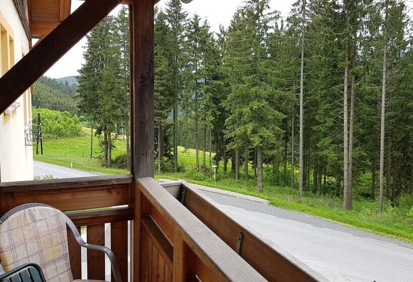 标准间带阳台, Roseggerhof