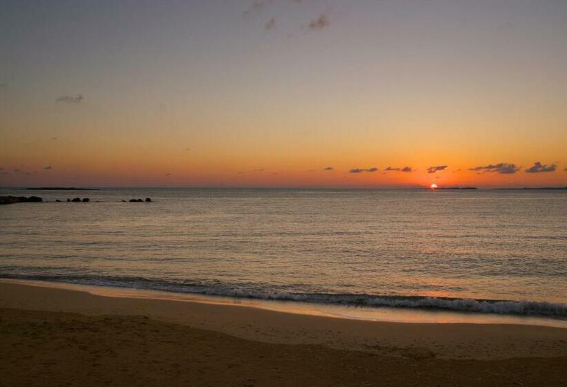 آپارتمان 1 خوابه با چشمانداز دریا, Ammos Residence