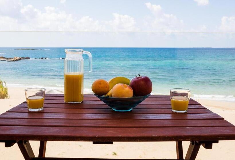 آپارتمان 1 خوابه با چشمانداز دریا, Ammos Residence