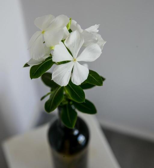 חדר סטנדרט עם נוף, La Casa Cielo