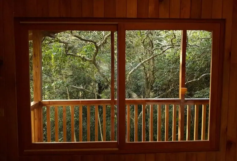 コンフォートルーム, Mount Totumas Cloud Forest