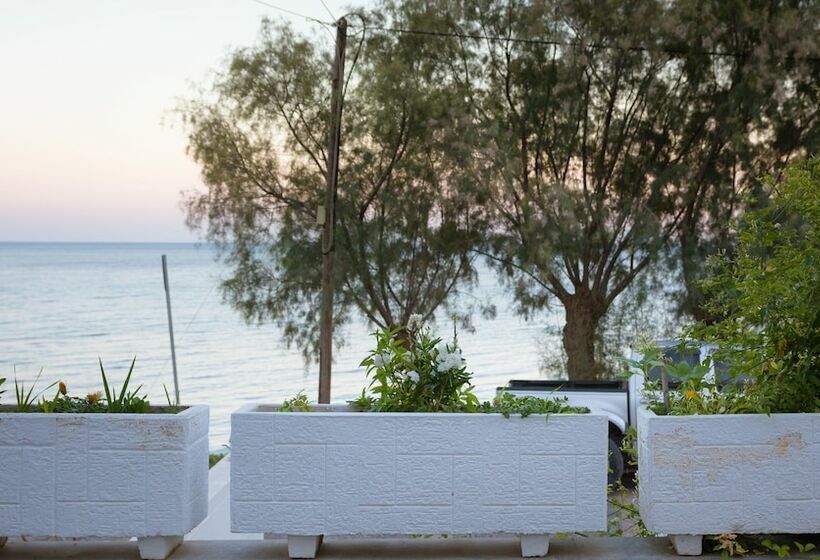 패밀리 스튜디오, Aliki Studios