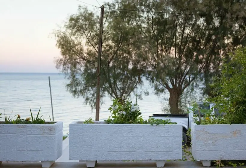 آپارتمان خانوادگی, Aliki Studios