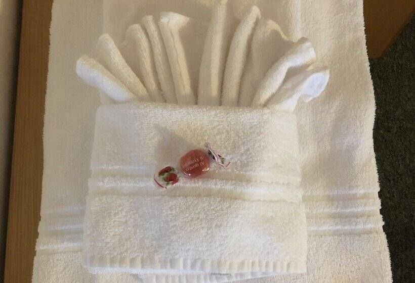 غرفة قياسية, El Paso