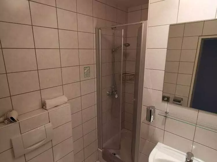 Economy Single Room, City Hotel Franziska