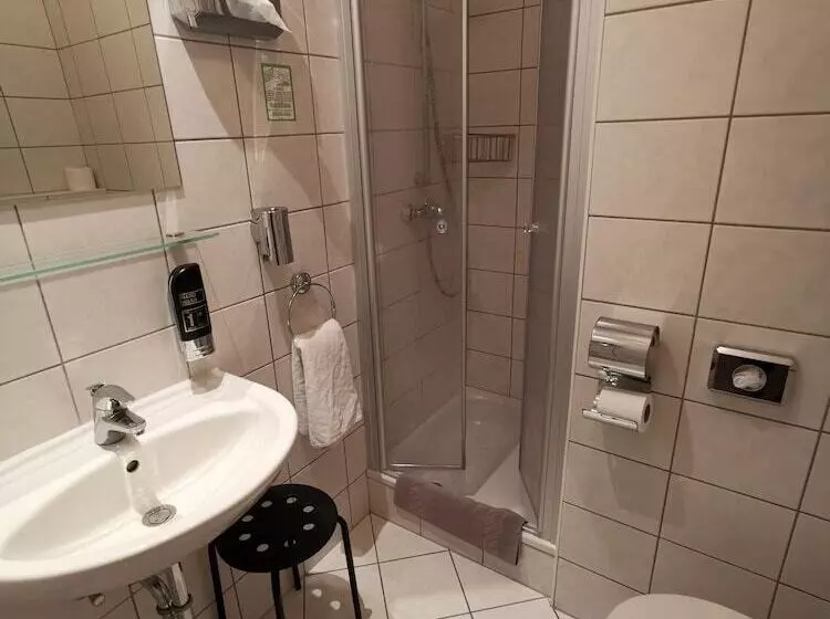 Economy Single Room, City Hotel Franziska