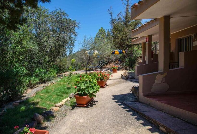 Номер Стандарт Трехместный, Oleandro