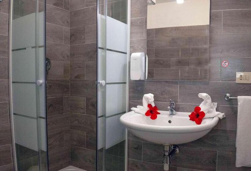 Номер Стандарт Трехместный, Oleandro