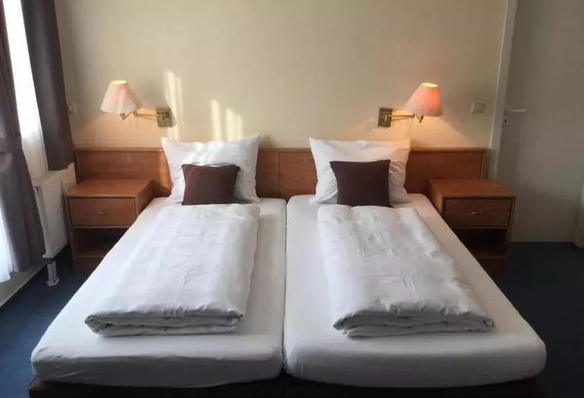 اتاق سوپریور, Sunibel Inn