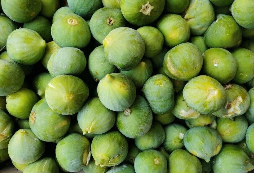 منزل غرفتين نوم, Trulli Il Castagno