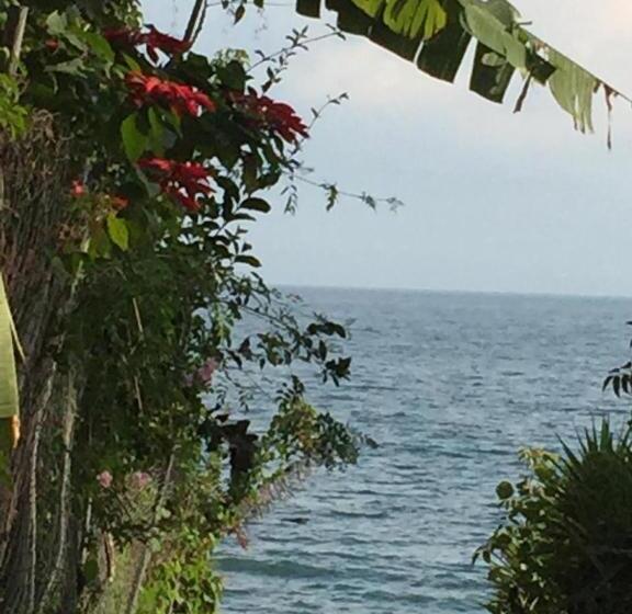 اتاق لوکس, Cabañas De Tzununa