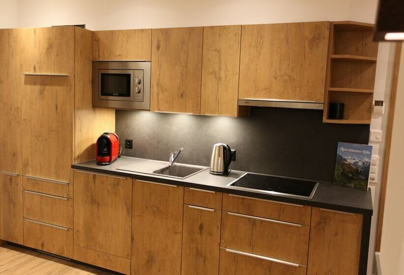 침실 1개 디럭스 아파트, Engadin Lodge