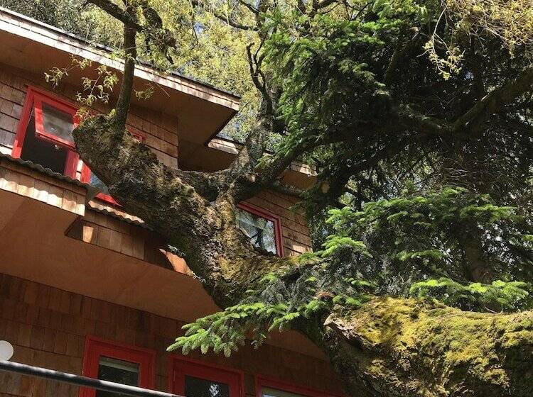 کابین, Almabosque Cabañas