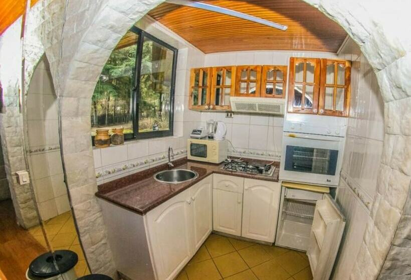 کابین, Cabañas El Dorado Pucón