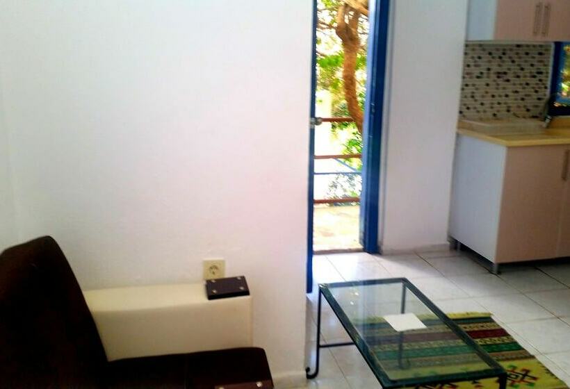 Appartamento Classico 1 Camera da Letto, Jungle Apart