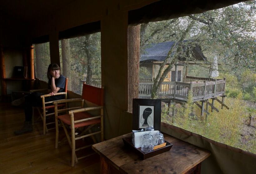 كوخ ديلوكس, Safari West