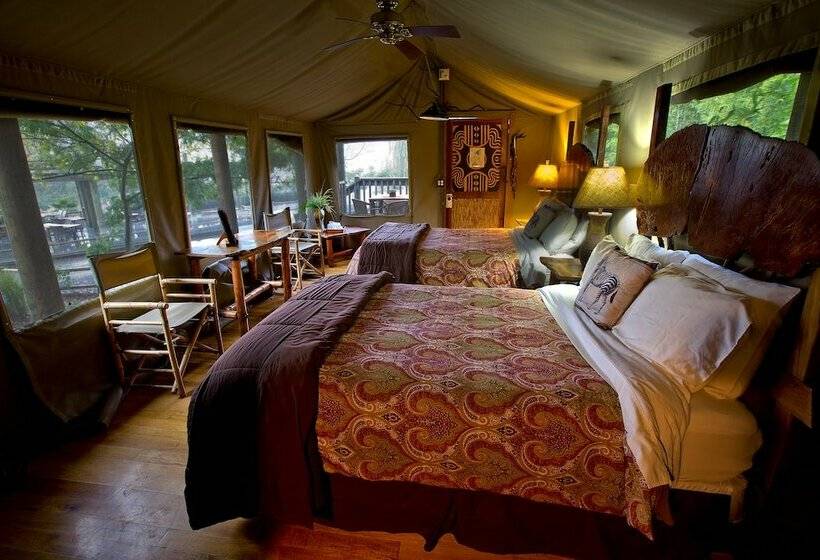 كوخ ديلوكس, Safari West