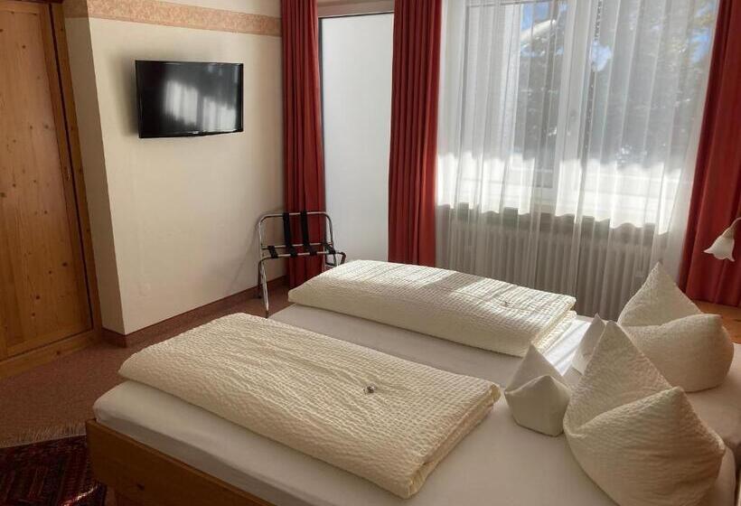 Camera Standard Vista Montagna, Gästehaus Menkenbauer