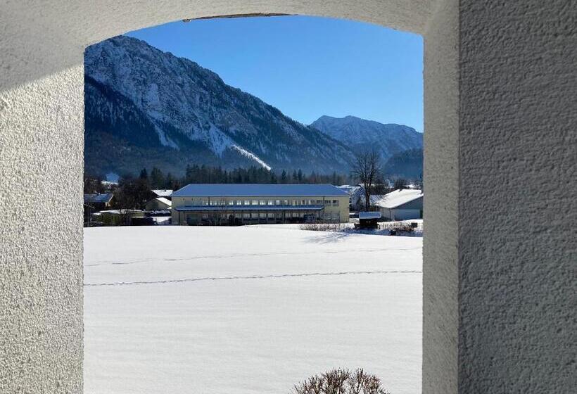 Camera Economy, Gästehaus Menkenbauer