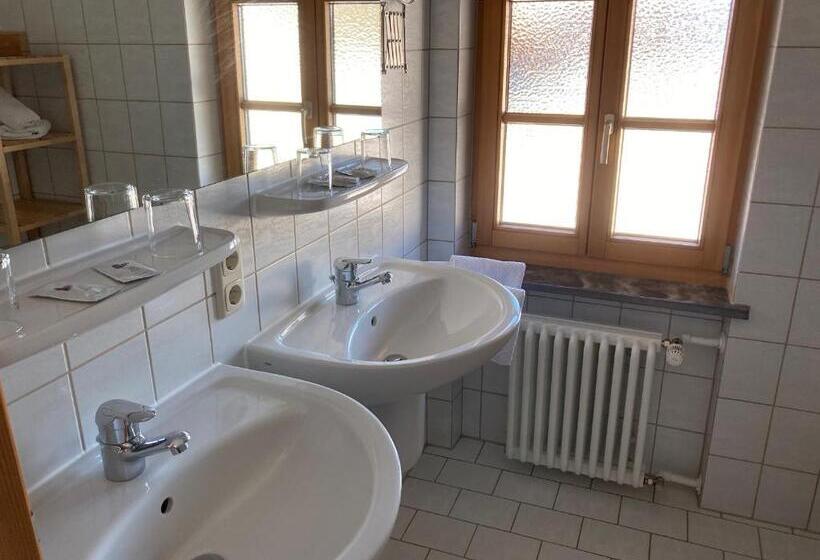 Appartamento 1 Camera da Letto con Vista, Gästehaus Menkenbauer