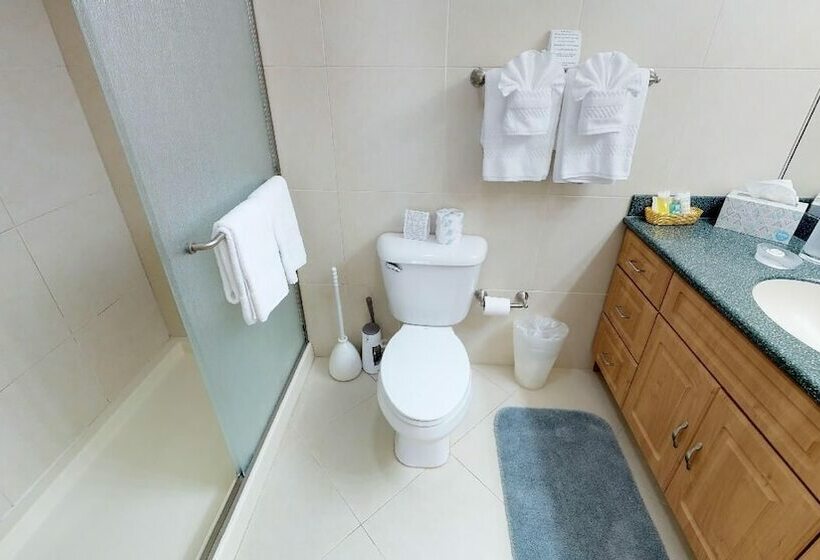 آپارتمان سوپریور 2 خوابه, The Islands Club