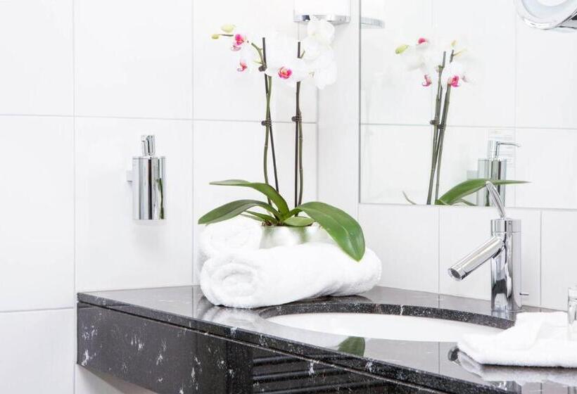 Номер Стандарт Индивидуальный, City Hotel Roding