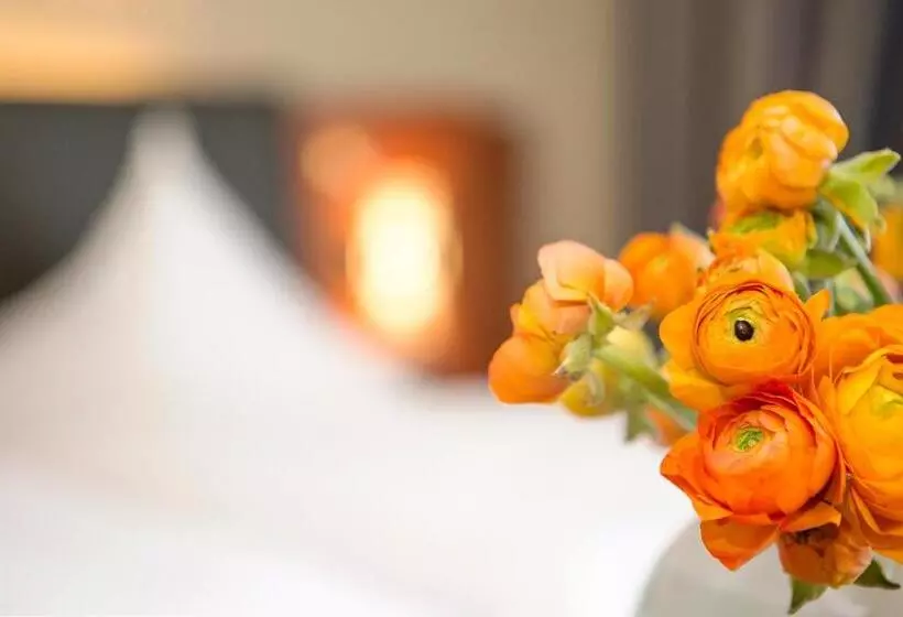 اتاق استاندارد یک نفره, City Hotel Roding