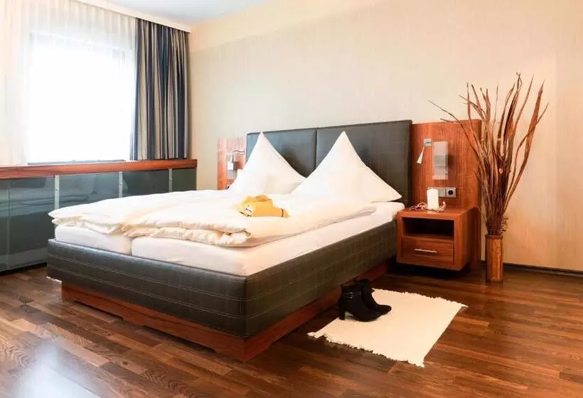 اتاق استاندارد یک نفره, City Hotel Roding