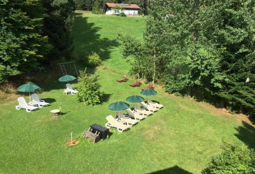 标准单人间, Garnihotel Arberblick