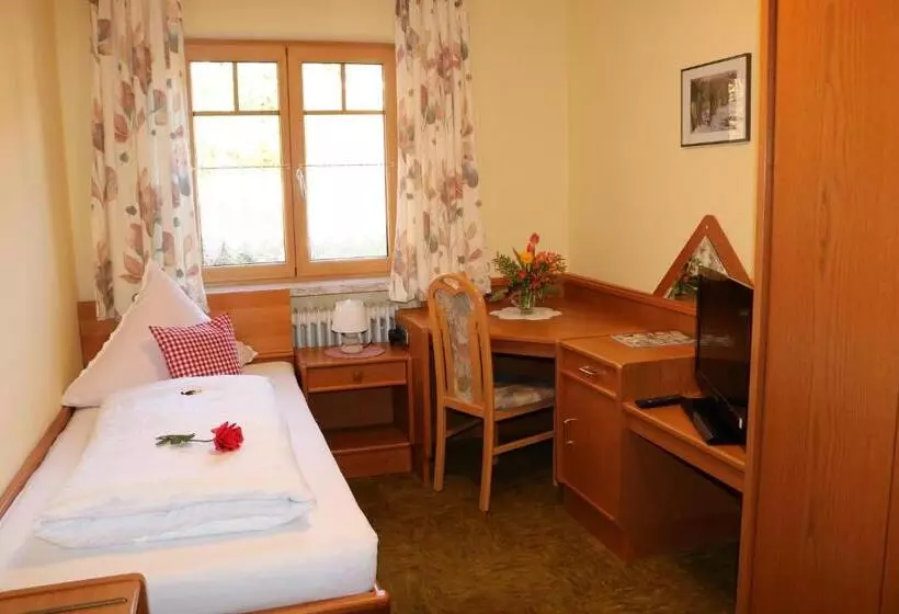 اتاق استاندارد یک نفره, Garnihotel   Arberblick