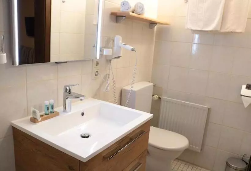 اتاق استاندارد یک نفره, Garnihotel   Arberblick