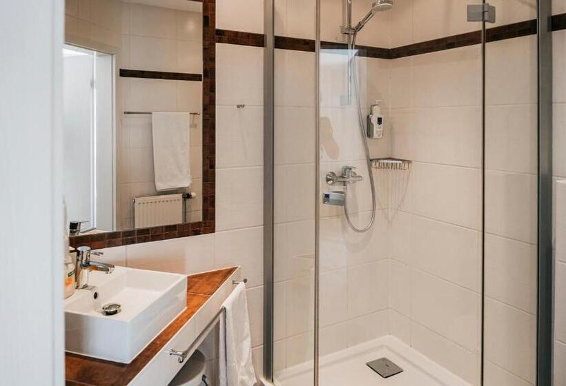 스탠다드 싱글 룸, Birkenhof