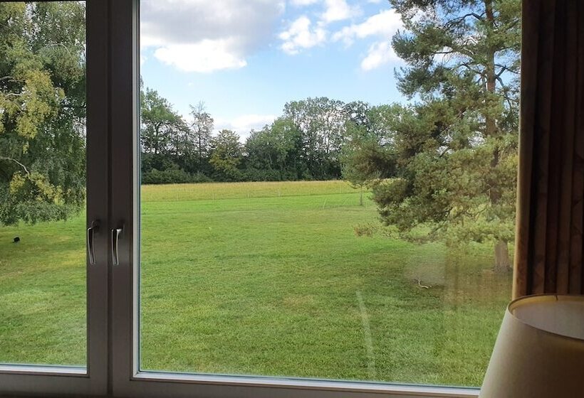 Номер Стандарт Индивидуальный, Burg