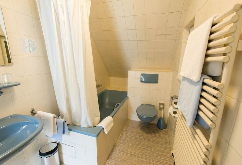 Номер Стандарт, Garni Viktoria